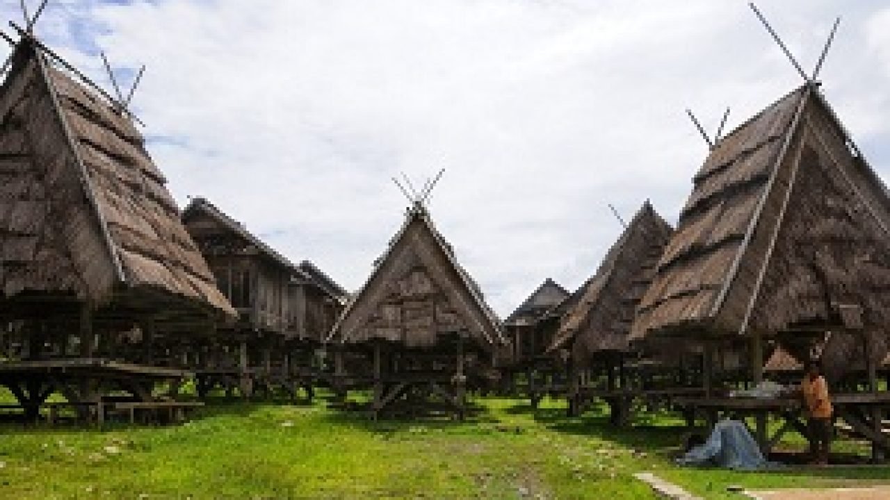 Bima