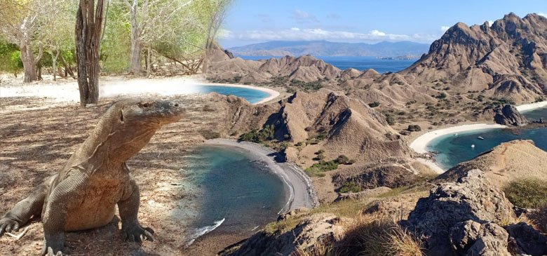 East Nusa Tenggara